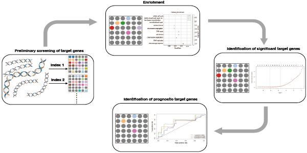 Cancer Immunity Cycle